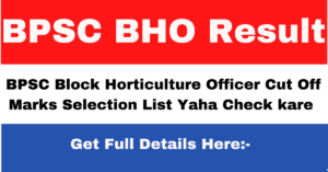 BPSC BHO Result