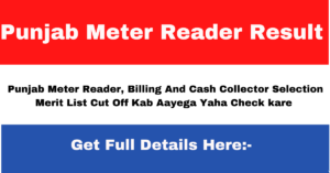 Punjab Meter Reader Result