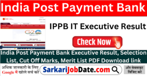 IPPB IT Executive Result